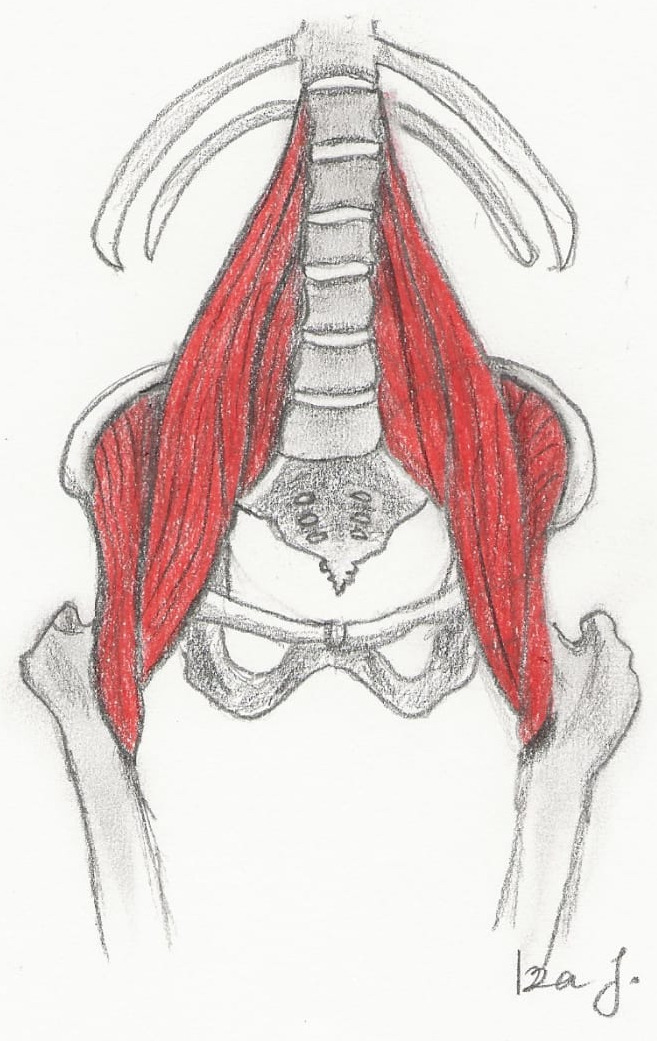 psoas_activarlo